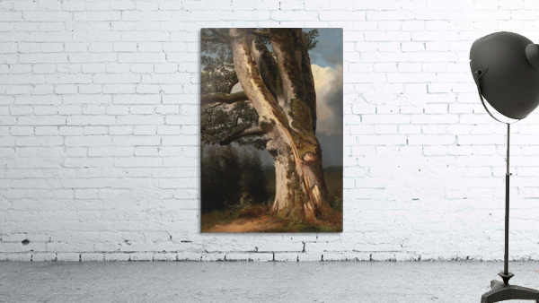 An oaktree trunk Wall Preview