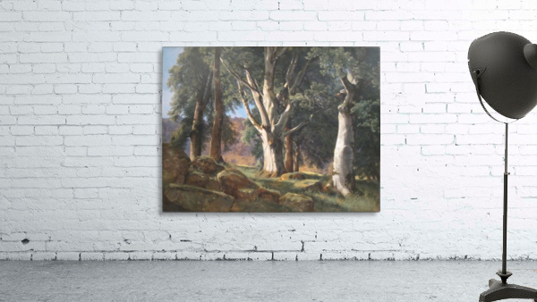 The Sycamores Wall Preview