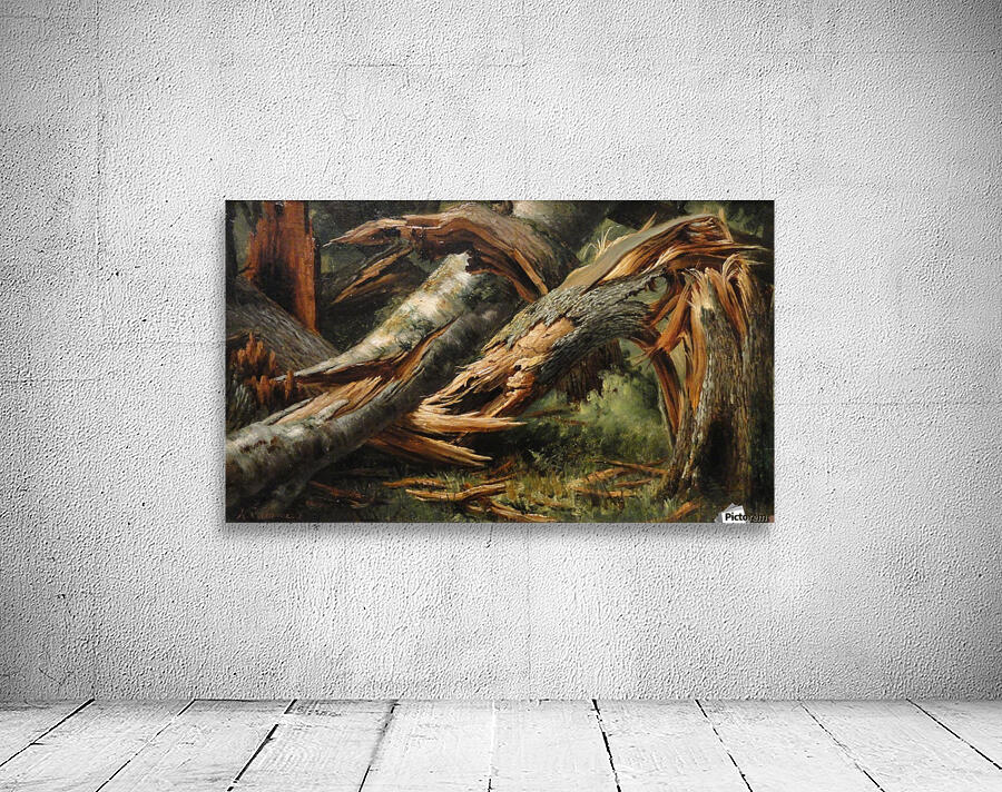 Fallen tree Wall Preview