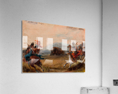 Wounded Buffalo Acrylic Print