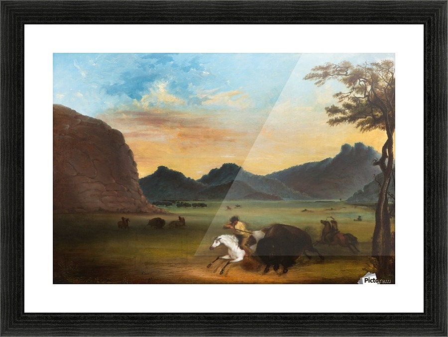 Buffalo Hunt Picture Frame print