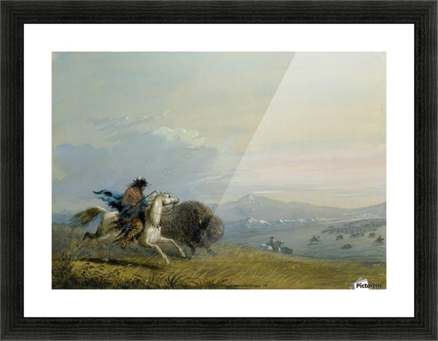 Pawnee Running Buffalo Picture Frame print