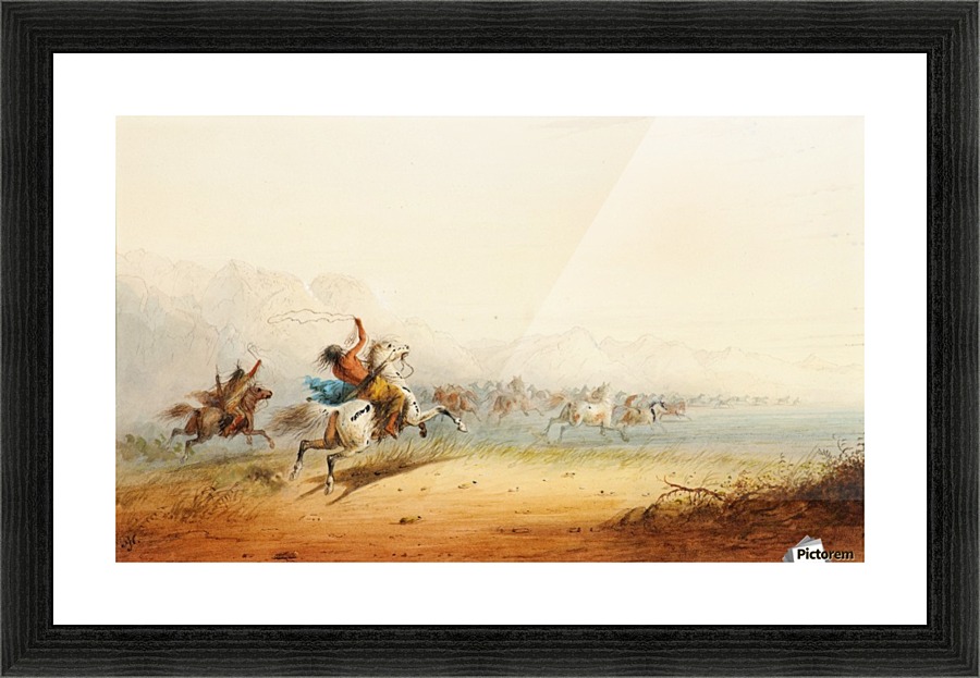 Lassoing Horses Picture Frame print