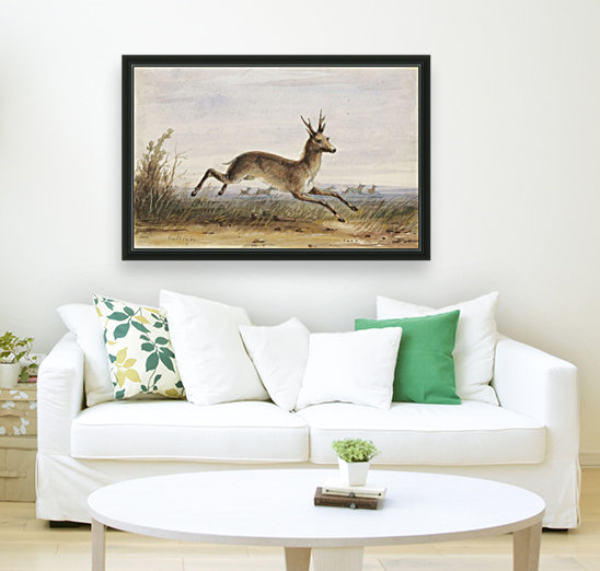 Antelope Reproduction
