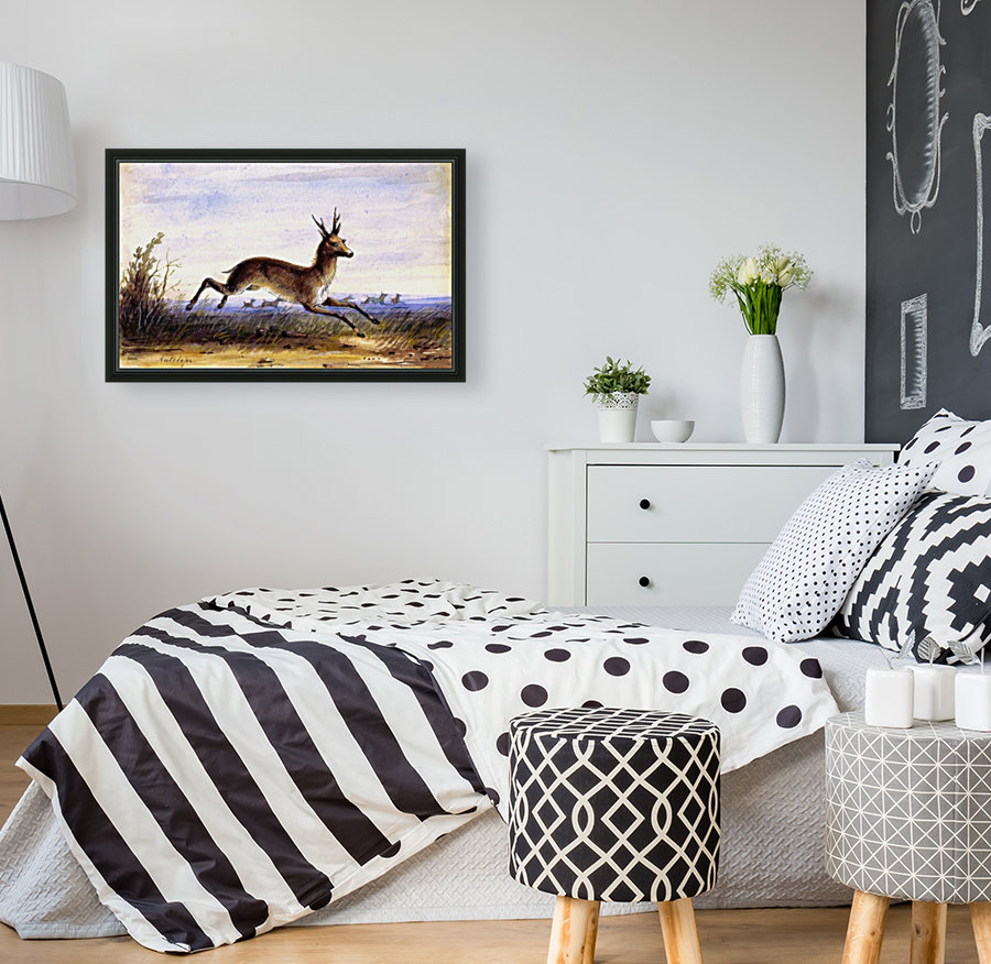 Antelope running Reproduction