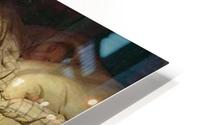 Visiting the newborn HD Metal print