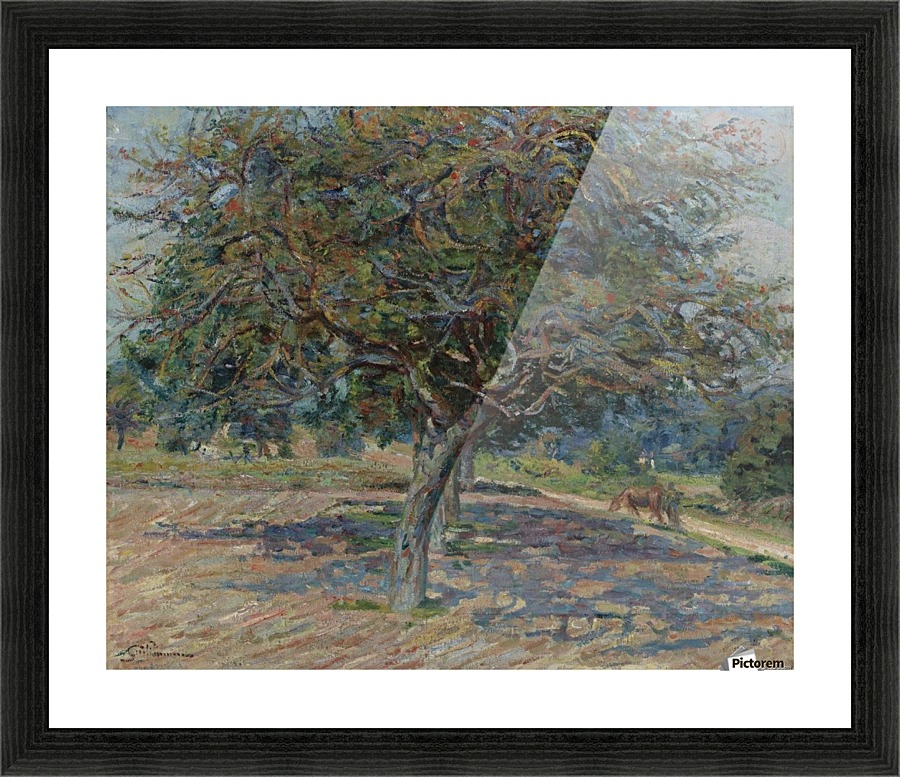 Trees at Ile-de-France Picture Frame print
