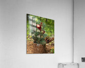 Green  Red Acrylic Print