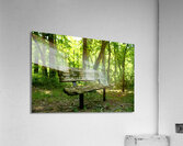 Lonely Bench 2 Acrylic Print