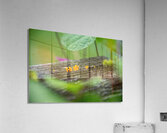 Micro Fungi Acrylic Print