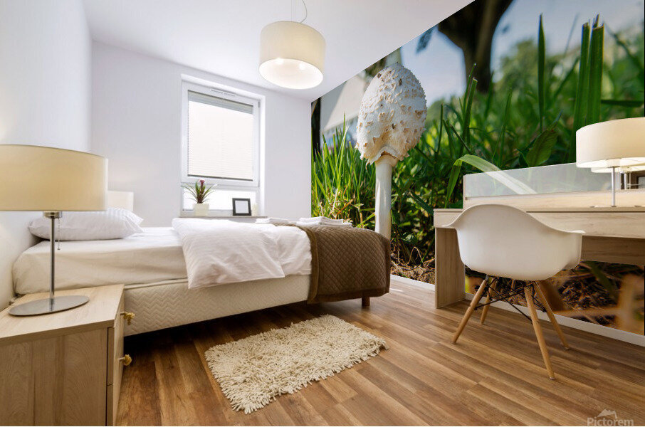 Mushroom 1 Mural print