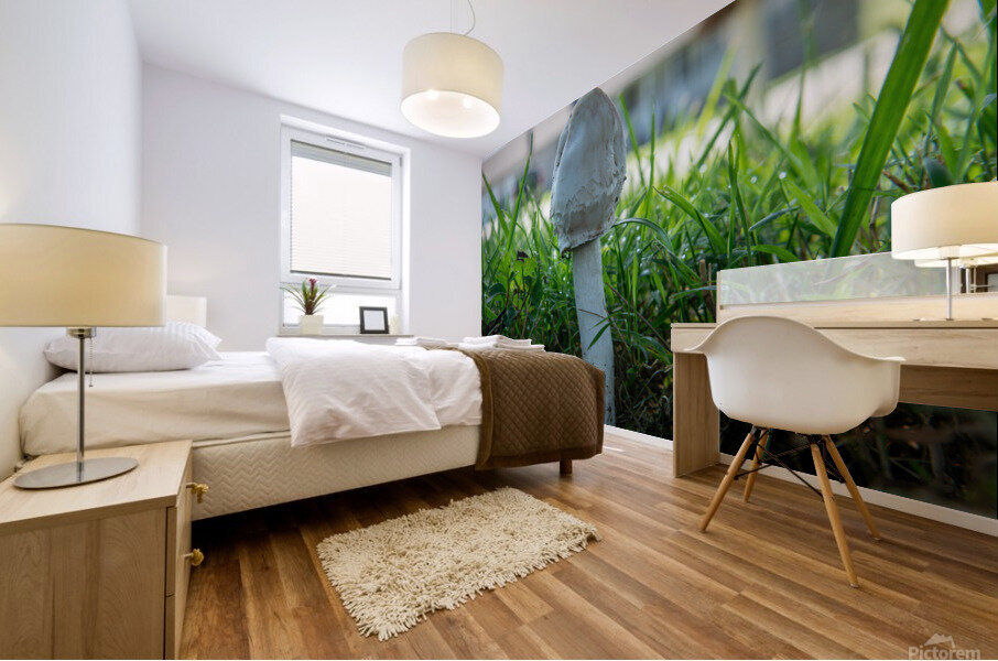 Mushroom 2 Mural print
