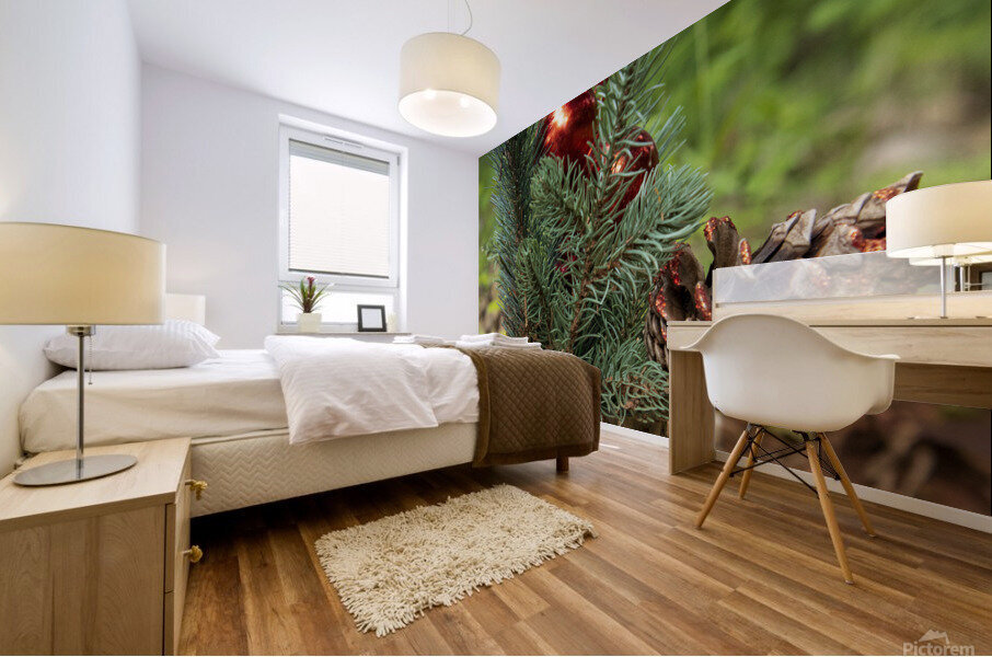 Green  Red Mural print