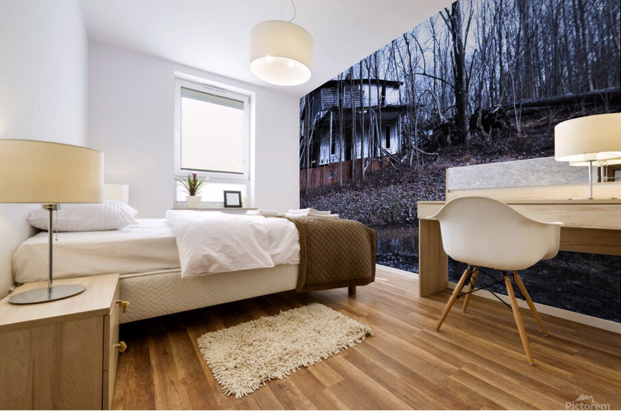 Empty Home Mural print