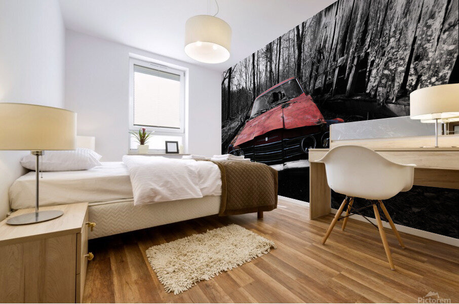 Forgotten Ride Mural print