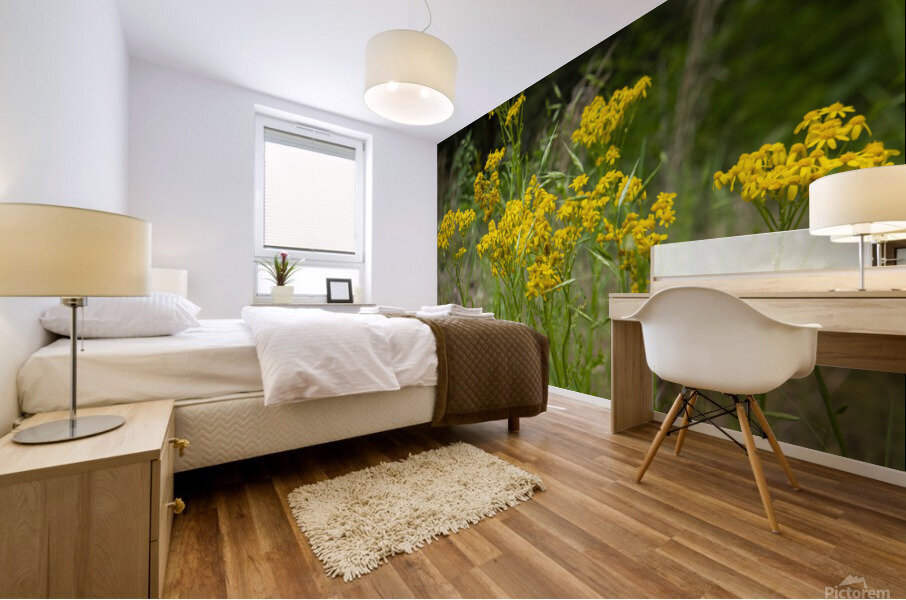 Yellow Flowers Mural print