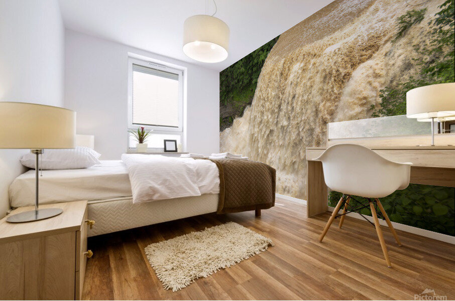 Burgess Falls Mural print