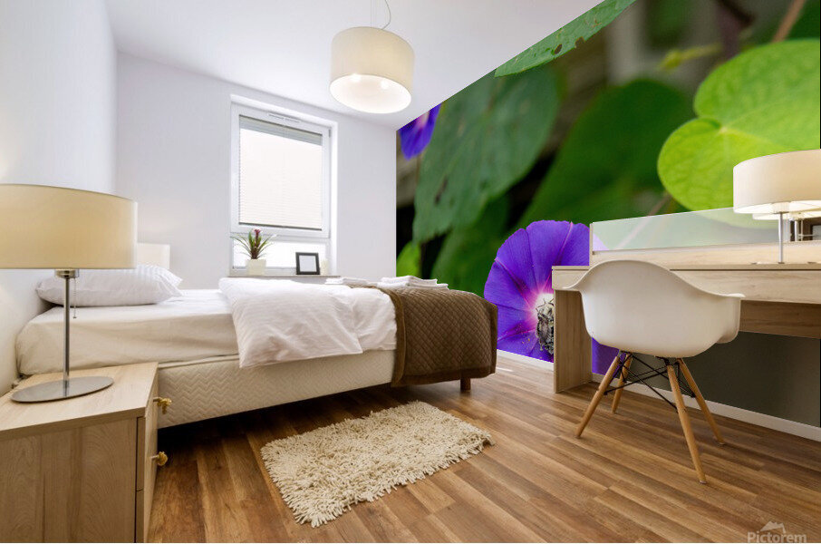 Morning Bee Mural print