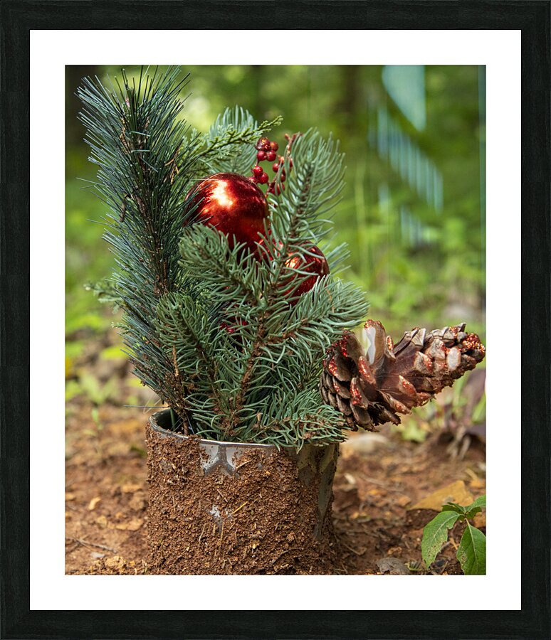 Green  Red Picture Frame print