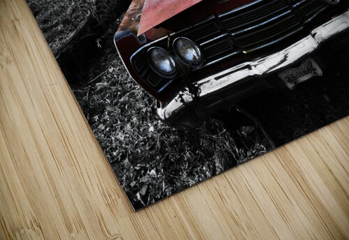 Forgotten Ride Michael Hadley puzzle