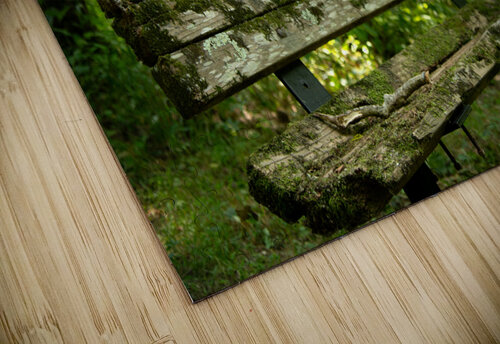 Lonely Bench Michael Hadley puzzle