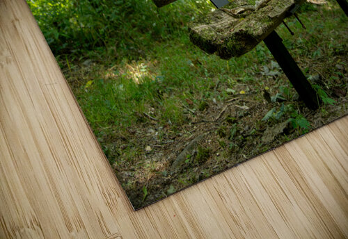 Lonely Bench 2 Michael Hadley puzzle