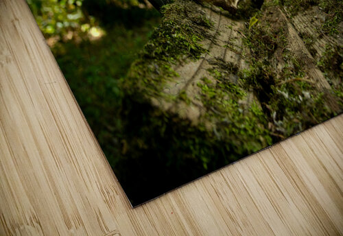 Lonely Bench 3 Michael Hadley puzzle