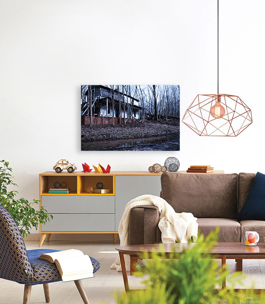Empty Home Reproduction