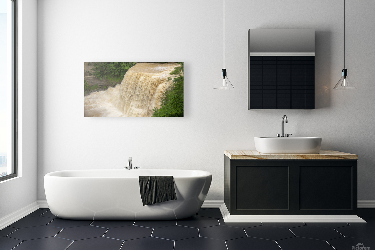 Burgess Falls Reproduction