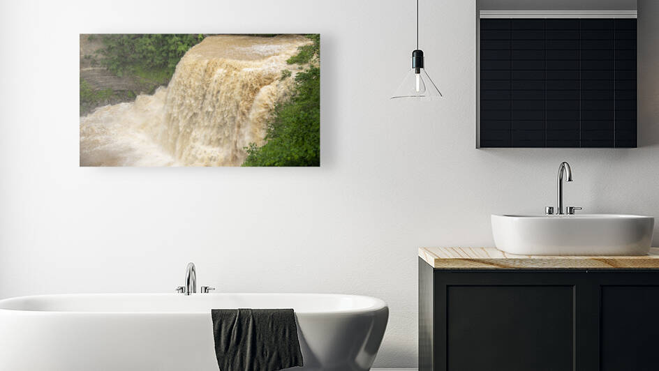 Burgess Falls Reproduction