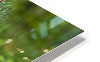 Green  Red HD Metal print