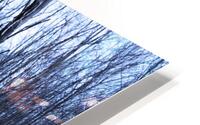 Empty Home HD Metal print
