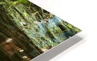 Gnome Land HD Metal print