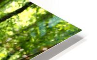 Lonely Bench HD Metal print