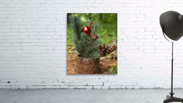 Green  Red Wall Preview