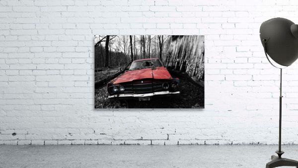 Forgotten Ride Wall Preview