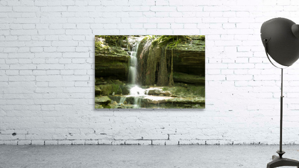 Gnome Land Wall Preview