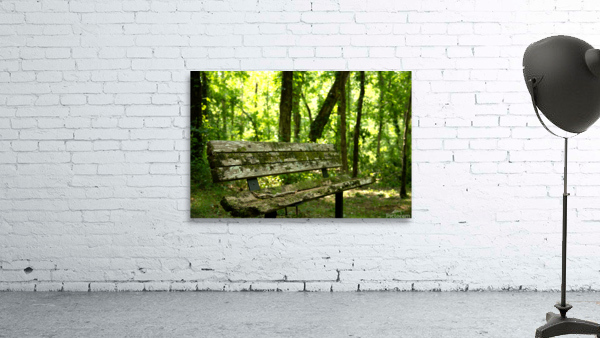 Lonely Bench Wall Preview