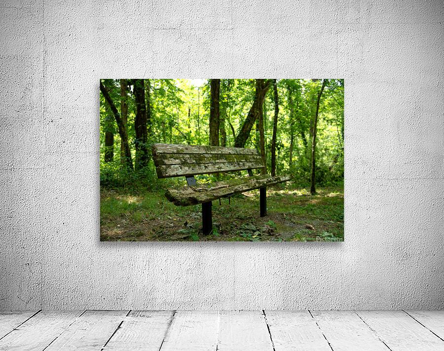 Lonely Bench 2 Wall Preview