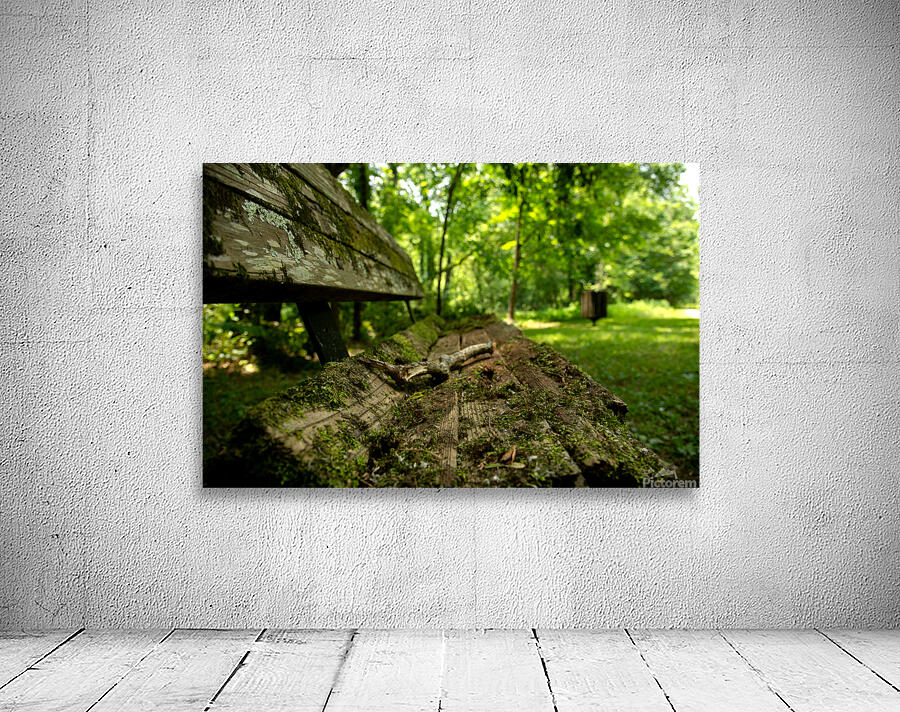 Lonely Bench 3 Wall Preview