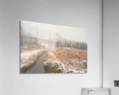 Fall Snow Acrylic Print