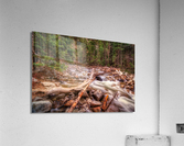 Mountain Stream Acrylic Print