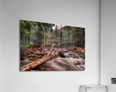 Mountain Stream 1 Acrylic Print