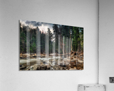 Mountain Stream 2 Acrylic Print