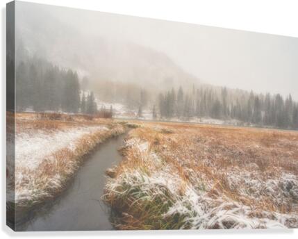 Fall Snow Canvas Print