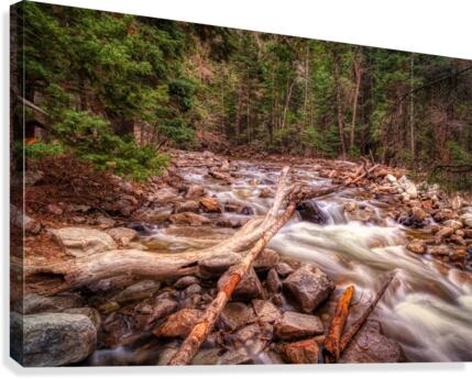 Mountain Stream Canvas Print