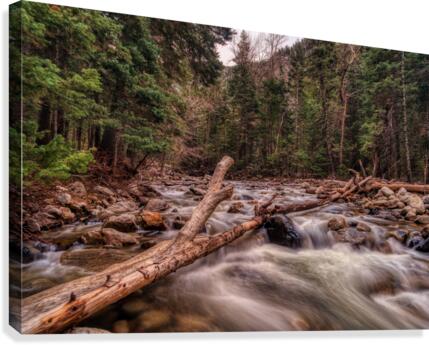 Mountain Stream 1 Canvas Print