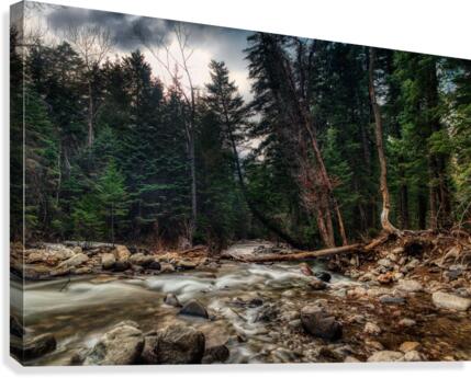 Mountain Stream 2 Canvas Print