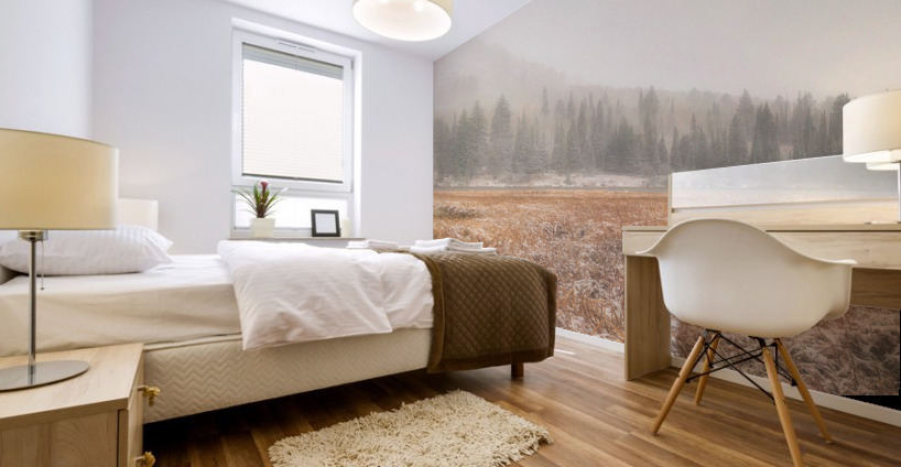 Fall Snow Mural print