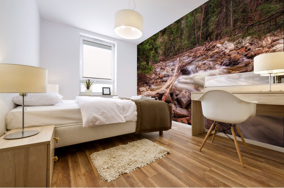 Mountain Stream Mural print